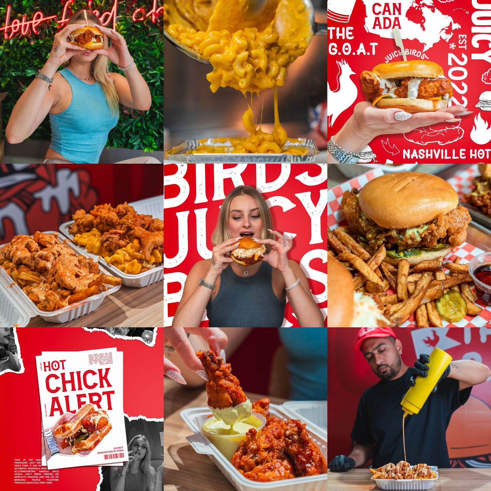 Juicy Birds Instagram grid